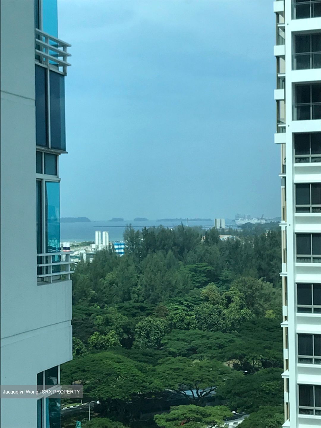The Atria At Meyer (D15), Condominium #555188831